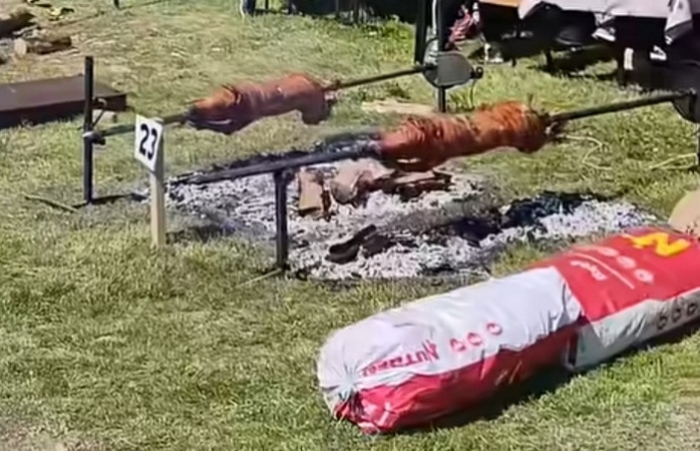 Kulturo, eve me - Mića Reljić