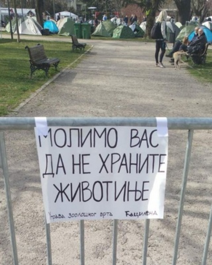 Partijski poslušnici u Ćacilendu
