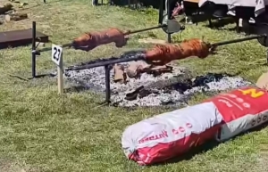 Kulturo, eve me - Mića Reljić